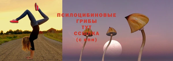 ALPHA PVP Беломорск