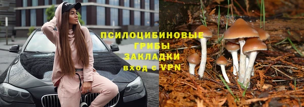 ALPHA PVP Беломорск