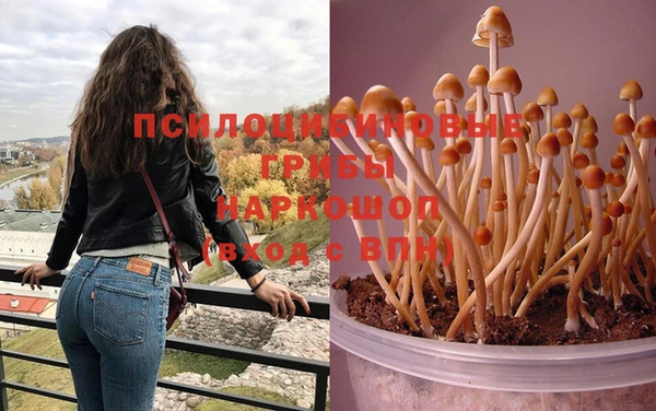 герыч Белоозёрский